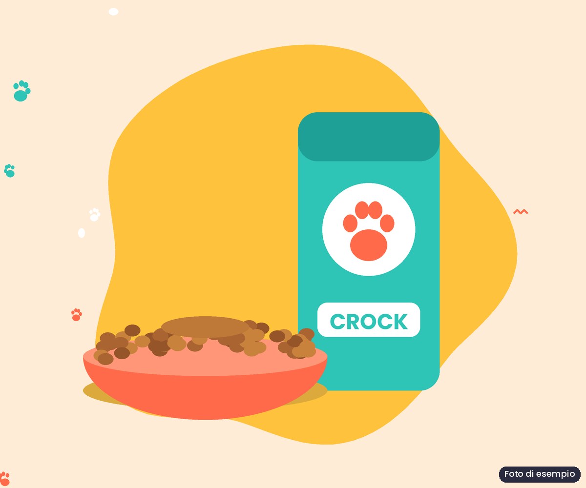 Crocchette 12 kg + snack